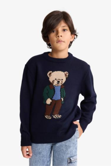 Boy Regular Fit Crew Neck Pullover
