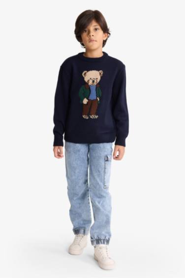 Boy Regular Fit Crew Neck Pullover