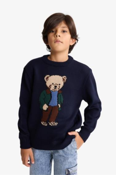 Boy Regular Fit Crew Neck Pullover
