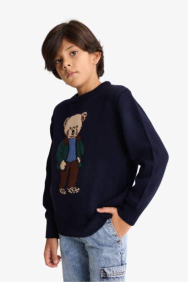 Boy Regular Fit Crew Neck Pullover