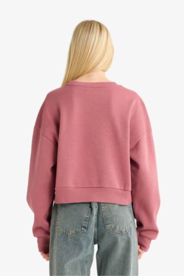 سويت شيرت تقيل بياخة مستديرة بطبعة