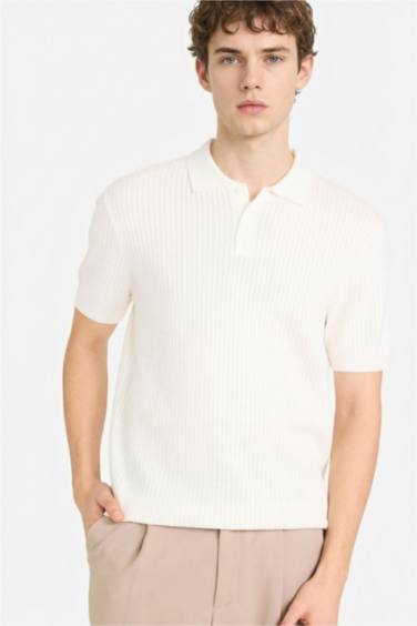 Standart Fit қысқа жеңді поло футболка