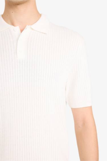 Standart Fit қысқа жеңді поло футболка