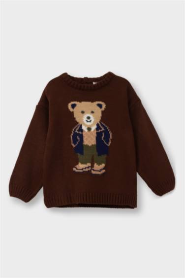 Baby Boy Regular Fit Pullover