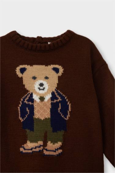 Baby Boy Regular Fit Pullover