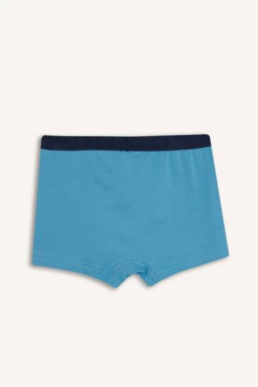 Erkek Çocuk Baskılı 3'lü Boxer