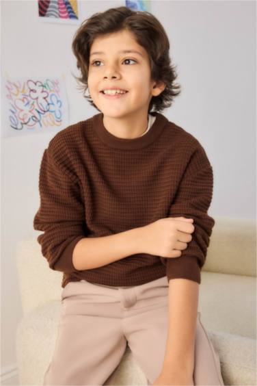 Boy Regular Fit Crew Neck Pullover
