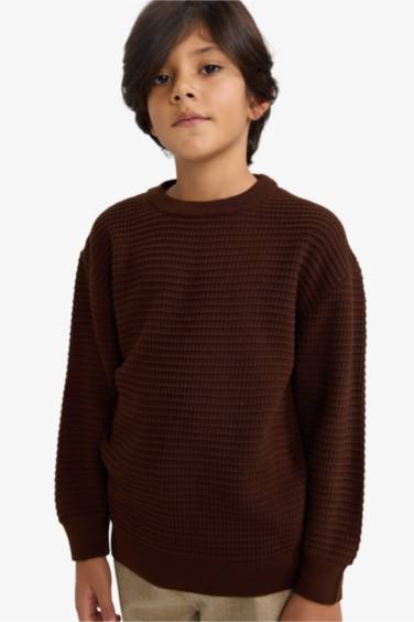 Boy Regular Fit Crew Neck Pullover
