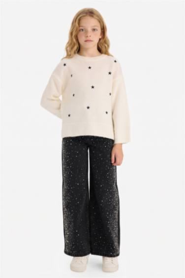 Girl Regular Fit Embroidered Crew Neck Pullover