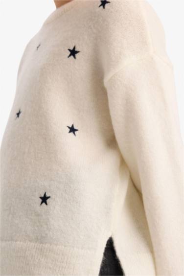 Girl Regular Fit Embroidered Crew Neck Pullover