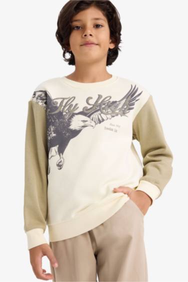 سويت شيرت ولادي قصة عادية وبطانة ناعمة