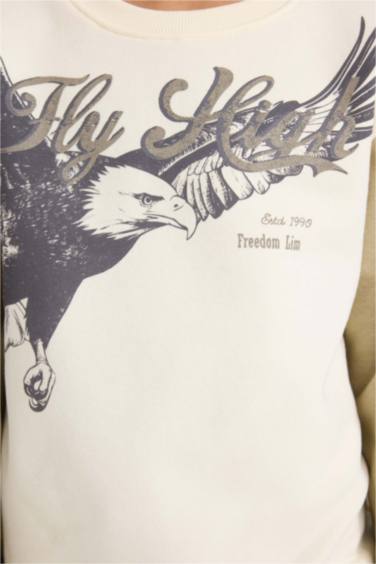 سويت شيرت ولادي قصة عادية وبطانة ناعمة