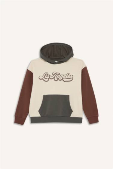 Boy Oversize Fit Hooded Printed Soft Fleece Lined Sweatshirt