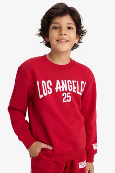 Boy Printed Sweatshirt Sweatpants 2 Piece Set