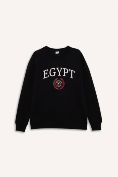 Boxy Fit Egypt Printed Sweatshirt