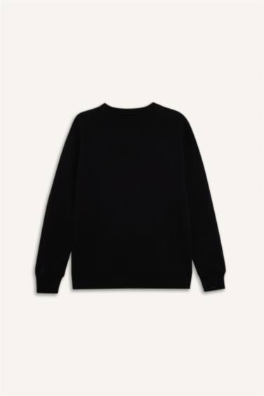 Boxy Fit Egypt Printed Sweatshirt