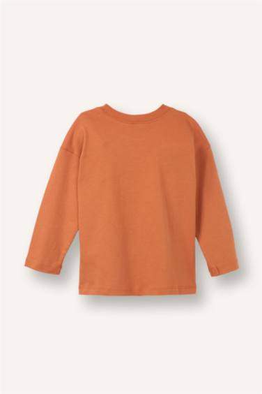 2'li Dinozor Baskılı Tişört Erkek Bebek