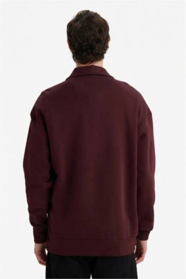 Boxy Fit Polo Yaka Sweatshirt