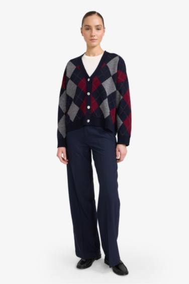 Regular Fit V Yaka Baklava Desenli Düğmeli Triko Hırka