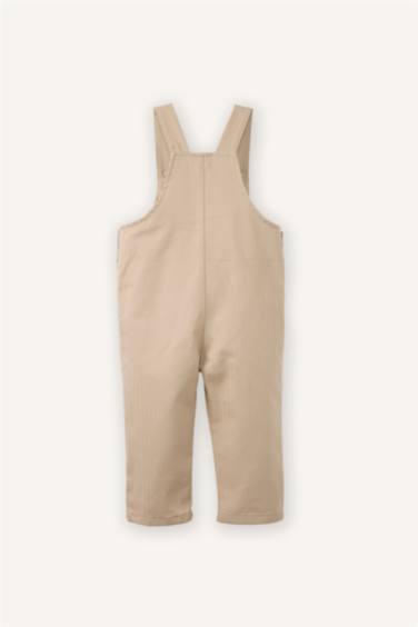 جمبسوت بيبي ولادي جبردين