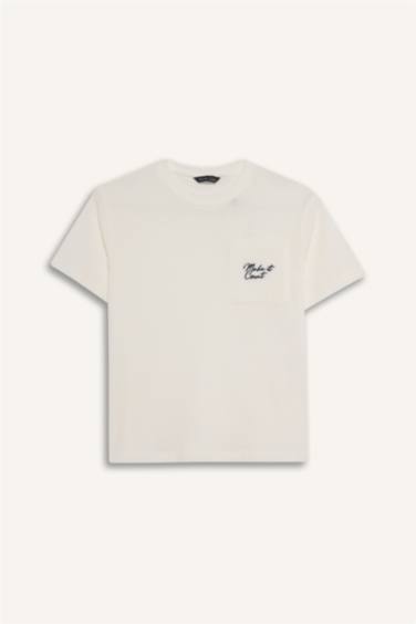 Boy New Regular Fit Embroidered Pocket Print T-Shirt