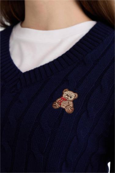 Slim Fit V-Neck Pullover