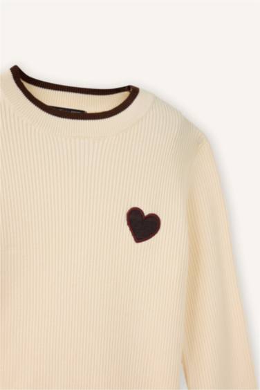 Girl Regular Fit Embroidered High Neck Pullover