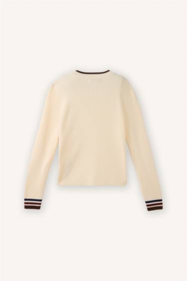 Girl Regular Fit Embroidered High Neck Pullover