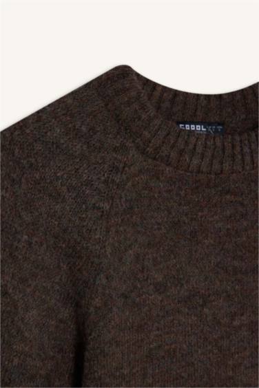 Regular Fit Crew Neck Pullover