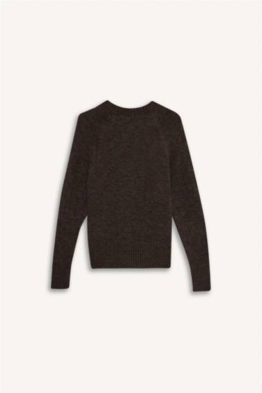 Regular Fit Crew Neck Pullover