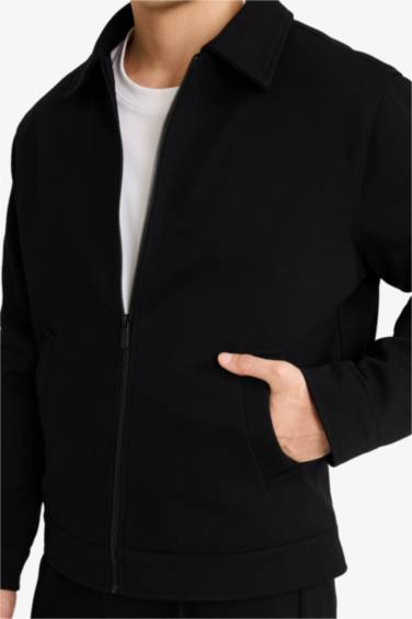 Veste zippée doublée à col chemise Coupe régulière