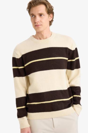 Standard Fit Knitwear Pullover