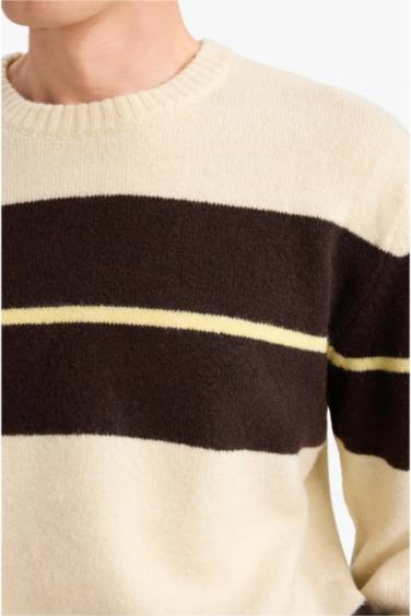 Standard Fit Knitwear Pullover