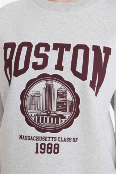 سويت شيرت اوفر سايز ثقيل مطبوع بياخة مستديرة