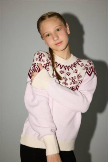 Girl Regular Fit Embroidered Crew Neck Pullover