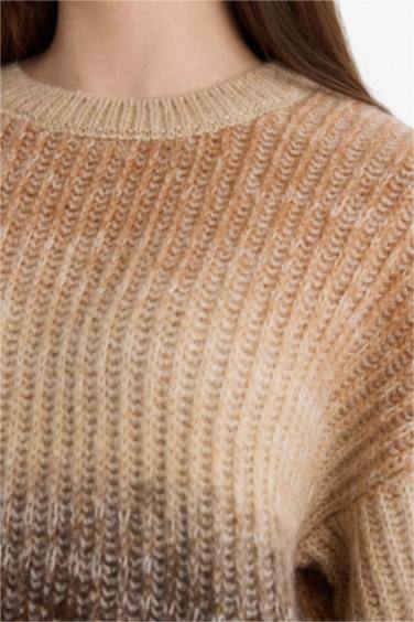 Regular Fit Crew Neck Romantic Print Pullover