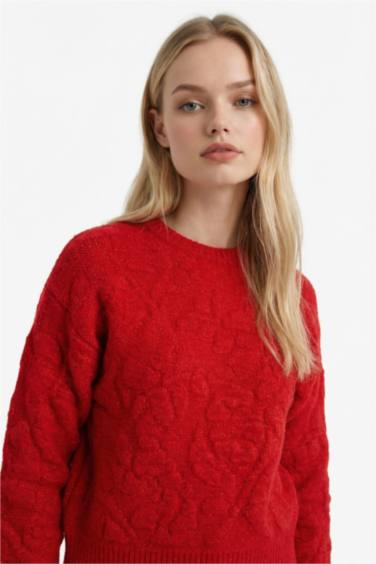 Regular Fit Bisiklet Yaka Kazak