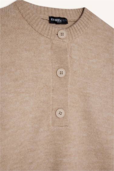 Regular Fit Crew Neck Pullover