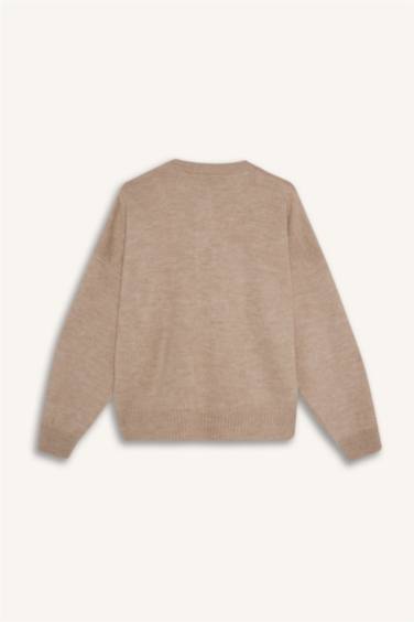 Regular Fit Crew Neck Pullover