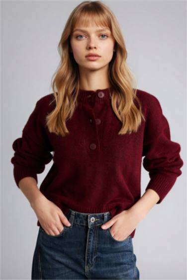 Regular Fit Crew Neck Pullover