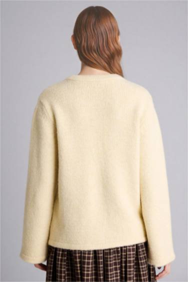 Regular Fıt Triko Hırka - Görsel 4