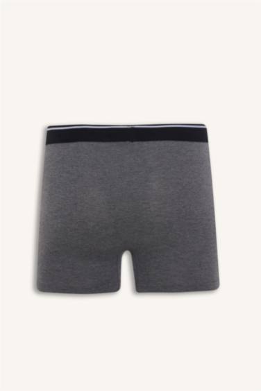 Regular Fıt 3'lü Boxer