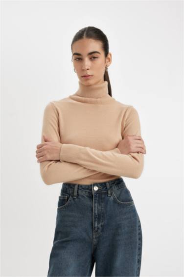 Regular Fit Turtleneck Basic Pullover