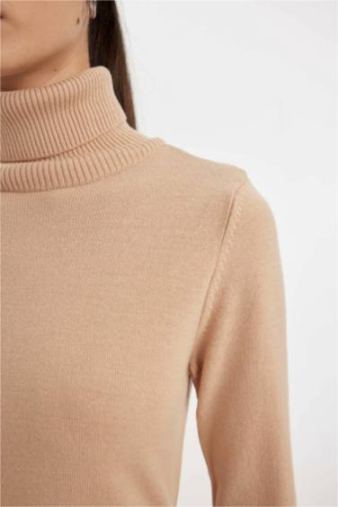 Regular Fit Turtleneck Basic Pullover