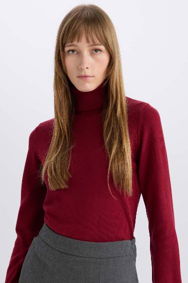 Regular Fit Turtleneck Knitwear Pullover