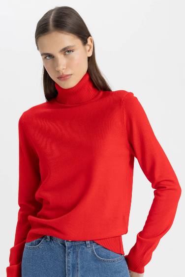 Regular Fit Turtleneck Basic Pulover