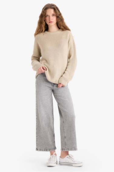 Regular Fit Crew Neck Basic Knit Pullover