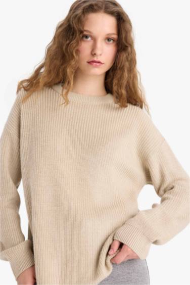 Regular Fit Crew Neck Basic Knit Pullover