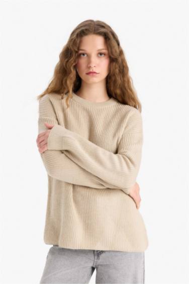 Regular Fit Crew Neck Basic Knit Pullover