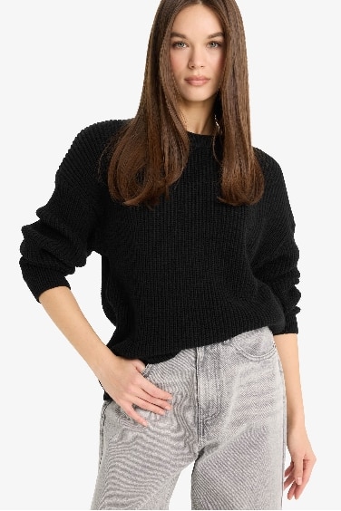 بلوفر قصة عادية برقبة مستديرة